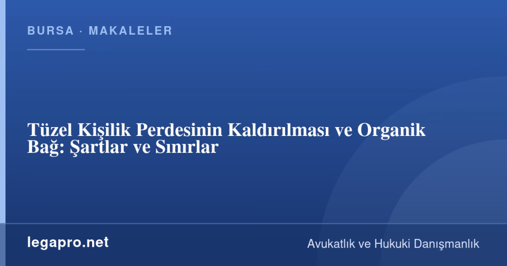 Tüzel Kişilik Perdesinin Kaldırılması ve Organik Bağ: Şartlar ve Sınırlar 1 legapro kapak 16307 LegaPro Hukuk Tüzel Kişilik Perdesinin Kaldırılması ve Organik Bağ: Şartlar ve Sınırlar