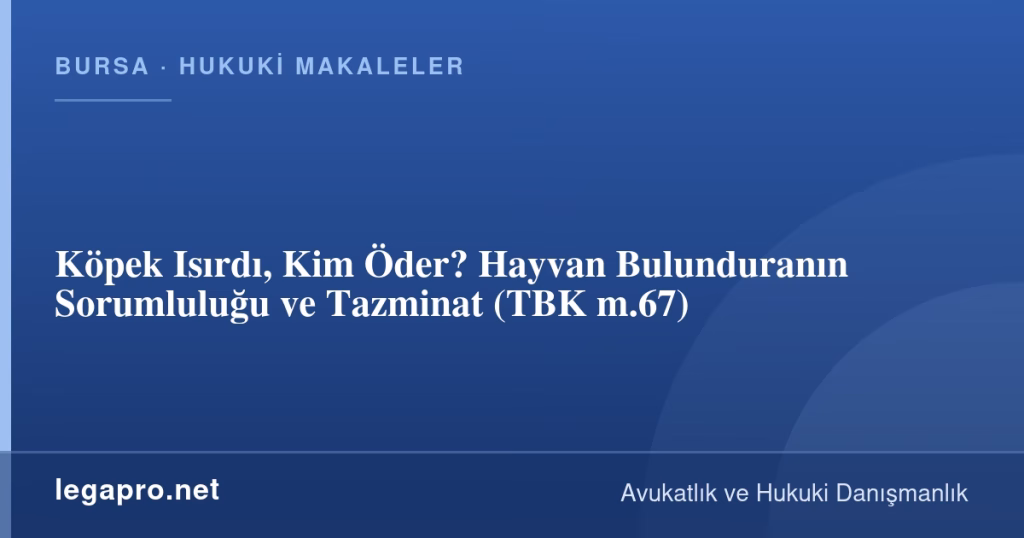 Köpek Isırdı, Kim Öder? Hayvan Bulunduranın Sorumluluğu ve Tazminat (TBK m.67)